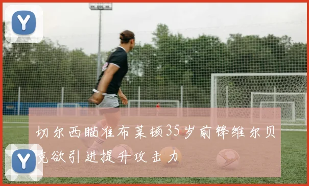 切尔西瞄准布莱顿35岁前锋维尔贝克欲引进提升攻击力